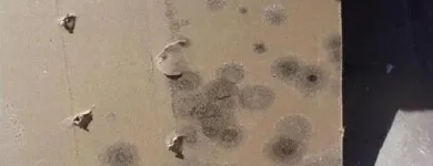 Business 30 image SERVPRO OF MARQUETTE PARK / WEST LAWN / FORD CITY Water Damage Restoration in Chicago IL