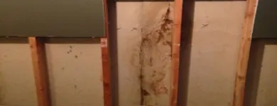 Business 35 image SERVPRO OF MARQUETTE PARK / WEST LAWN / FORD CITY Water Damage Restoration in Chicago IL