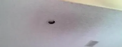 Business 36 image SERVPRO OF MARQUETTE PARK / WEST LAWN / FORD CITY Water Damage Restoration in Chicago IL