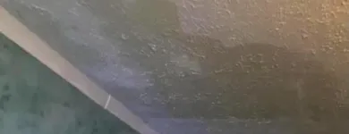 Business 37 image SERVPRO OF MARQUETTE PARK / WEST LAWN / FORD CITY Water Damage Restoration in Chicago IL