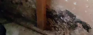 Business 43 image SERVPRO OF MARQUETTE PARK / WEST LAWN / FORD CITY Water Damage Restoration in Chicago IL