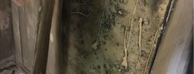 Business 2 image SERVPRO OF NEWARK Mold Testing & Removal in Wilmington DE