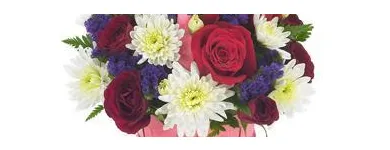 Business 5 image SNOWS FLORIST Florists in Irving TX