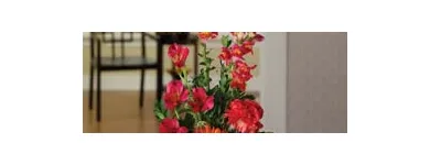 Business 6 image SNOWS FLORIST Florists in Irving TX