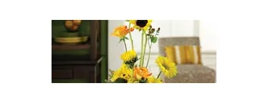 Business 7 image SNOWS FLORIST Florists in Irving TX