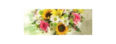 Business 2 image SNOWS FLORIST Florists in Irving TX