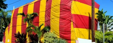 Business 2 image SOUTH BAY TERMITE CONTROL Termites in House in San Jose CA