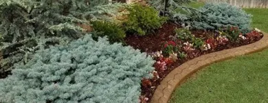 Business 4 image SPECIAL T LANDSCAPING Lawn Care & Garden Maintenance in Oklahoma City OK