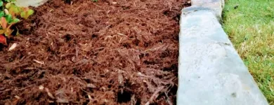 Business 5 image SPECIAL T LANDSCAPING Lawn Care & Garden Maintenance in Oklahoma City OK