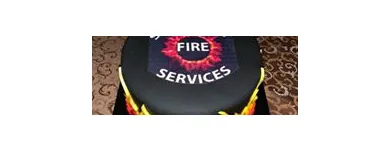 Business 2 image SPECIALTY FIRE SERVICES LLC in Houston TX