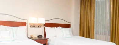 Business 18 image SPRINGHILL SUITES BY MARRIOTT CHICAGO O'HARE Travel & Tourism in Chicago IL