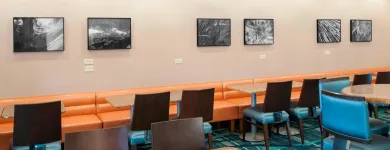 Business 26 image SPRINGHILL SUITES BY MARRIOTT CHICAGO O'HARE Travel & Tourism in Chicago IL