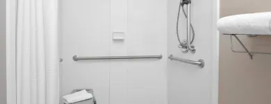 Business 31 image SPRINGHILL SUITES BY MARRIOTT CHICAGO O'HARE Travel & Tourism in Chicago IL