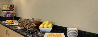 Business 44 image SPRINGHILL SUITES BY MARRIOTT CHICAGO O'HARE Travel & Tourism in Chicago IL