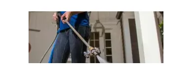 Business 1 image SPRUCE SERVICES AND SOLUTIONS Window Cleaning in Greenville SC