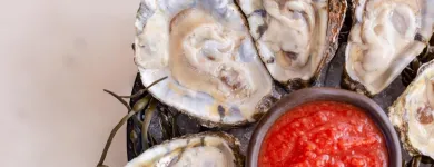 Business 7 image SPRUZZO Tapas Restaurants in West Palm Beach FL