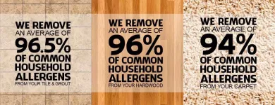 Business 58 image STANLEY STEEMER Upholstery Cleaning Service in San Leandro CA