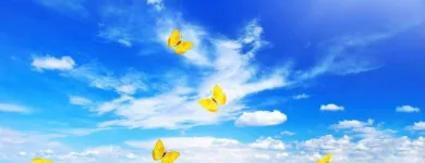 Business 9 image STANLEY STEEMER Damage Restoration Service in Auburn WA