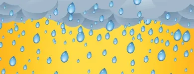 Business 14 image STANLEY STEEMER Damage Restoration Service in Auburn WA