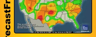 Business 17 image STANLEY STEEMER Damage Restoration Service in Auburn WA