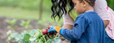 Business 19 image STANLEY STEEMER Damage Restoration Service in Auburn WA