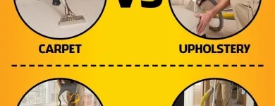 Business 40 image STANLEY STEEMER Damage Restoration Service in Auburn WA