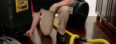 Business 45 image STANLEY STEEMER Damage Restoration Service in Auburn WA