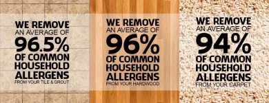 Business 53 image STANLEY STEEMER Damage Restoration Service in Auburn WA