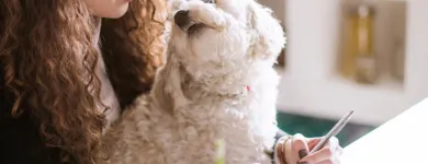 Business 62 image STANLEY STEEMER Damage Restoration Service in Auburn WA