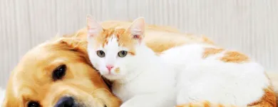 Business 63 image STANLEY STEEMER Damage Restoration Service in Auburn WA