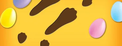 Business 70 image STANLEY STEEMER Damage Restoration Service in Auburn WA