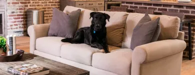 Business 6 image STASH HOME Home Furniture in Kirkwood MO