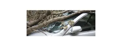 Business 1 image STATE FARM INSURANCE - TREY YOUNG Insurance in Mcdonough GA