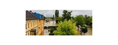 Business 3 image STATE FARM INSURANCE - TREY YOUNG Insurance in Mcdonough GA