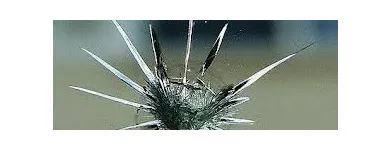 Business 1 image STOP A CRACK WINDSHIELD REPAIR Glass-Automobile, Plate, Window, Etc-Manufacturers in Oklahoma City OK