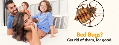 Business 8 image STRUCTURAL TERMITE & PEST CONTROL Pest Control in Riverside CA
