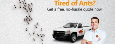 Business 10 image STRUCTURAL TERMITE & PEST CONTROL Pest Control in Riverside CA