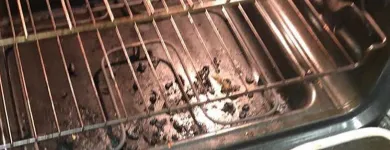 Business 1 image TAILOR MAID SERVICES House Cleaning in Renton WA