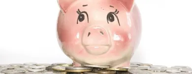 Business 1 image TAX GALLERY LLC Tax Preparation in Burien WA