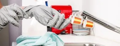 Business 4 image TERE'S SAN DIEGO HOUSE CLEANING House Cleaning Service in San Diego CA