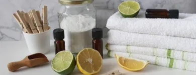 Business 6 image TERE'S SAN DIEGO HOUSE CLEANING House Cleaning Service in San Diego CA