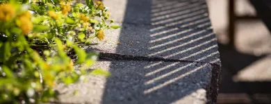 Business 3 image THE ECHELON OF TUCSON in Tucson AZ