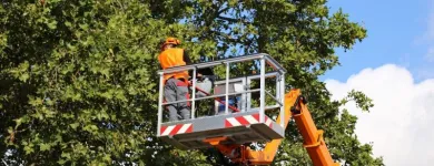 Business 1 image THE FIRST STATE TREE SERVICE Tree Service Company in Dover DE