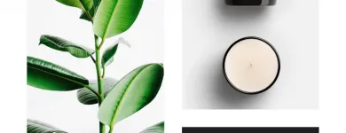 Business 2 image THE GIVING WICK in Chicago IL