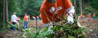 Business 8 image THE HOME DEPOT Tools & Hardware in Evansville IN