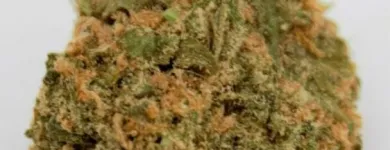 Business 5 image THE HONEYHOLE DISPENSARY Marijuana PreRolls in Oklahoma City OK