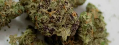 Business 9 image THE HONEYHOLE DISPENSARY Marijuana PreRolls in Oklahoma City OK