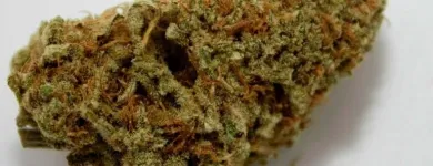 Business 11 image THE HONEYHOLE DISPENSARY Marijuana PreRolls in Oklahoma City OK