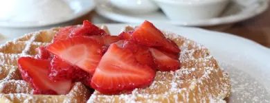 Business 3 image THE ORIGINAL PANCAKE HOUSE Vegetarian Restaurant in Austin TX