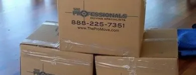 Business 13 image THE PROFESSIONALS MOVING SPECIALISTS Transportation Services in Chicago IL